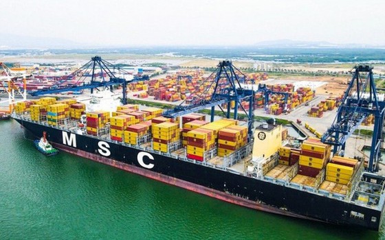 Tàu container của hãng MSC cập cảng Sài Gòn - SSA (SSIT) dịp đầu năm Quý Mão 2023. Ảnh: Báo GT