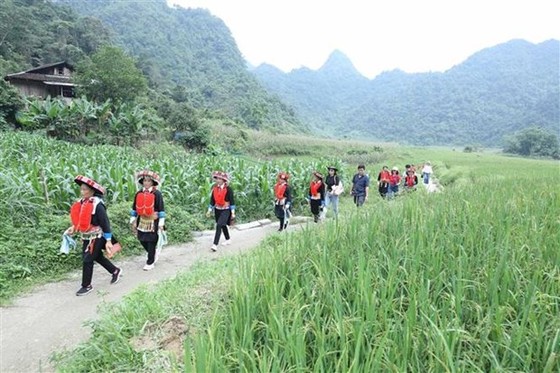 Phong cảnh xanh mát thôn Lũng Slàng, xã Tri Phương, huyện Tràng Định, tỉnh Lạng Sơn thu hút du khách. (Ảnh: Anh Tuấn/TTXVN)