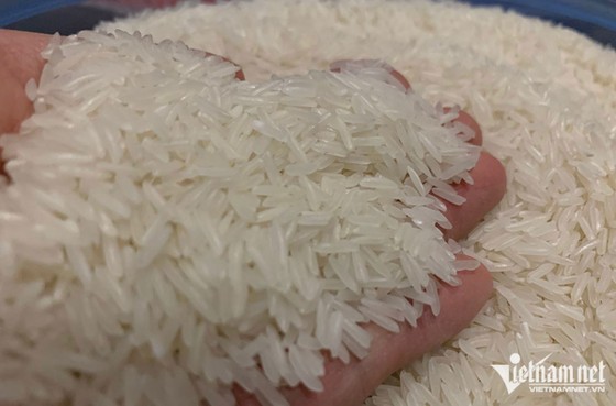 Giá gạo xuất khẩu của Việt Nam cao nhất thế giới. (Ảnh: Tâm An)