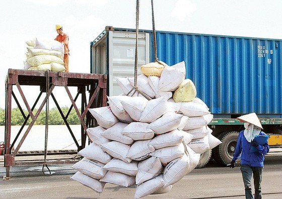 Giá gạo xuất khẩu của Việt Nam tuần qua đã tăng lên mức cao nhất kể từ cuối tháng 4, trong bối cảnh nguồn cung thấp. Ảnh minh họa.