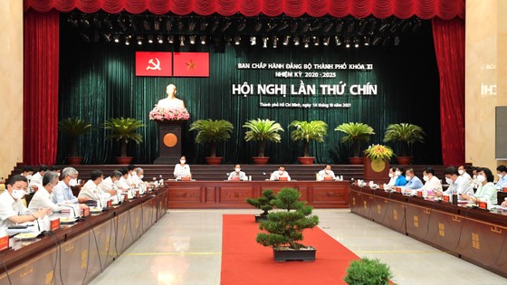 Phó Chủ tịch UBND TPHCM Lê Hòa Bình: Tình hình kinh tế TPHCM dần được cải thiện ảnh 4
