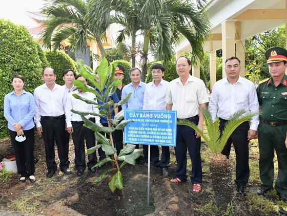Thêm cây bàng vuông ở Trường Sa đến với huyện Cần Giờ ảnh 4
