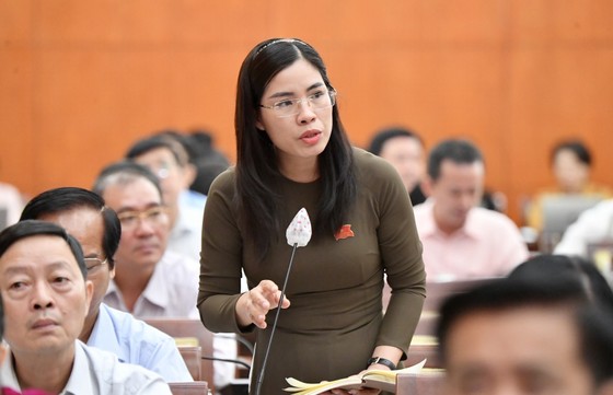 Giám đốc Sở Công thương TPHCM: Giá lương thực, thực phẩm sẽ tăng trong dịp tết này ảnh 2