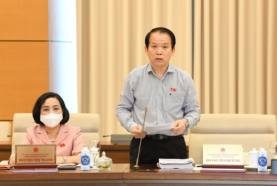 Tranh luận về xử phạt vi phạm hành chính trong lĩnh vực sở hữu trí tuệ ảnh 1