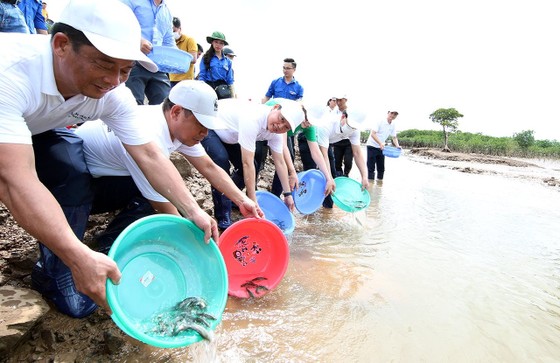 Nhiều hoạt động kỷ niệm ngày Quốc tế Đa dạng sinh học và Ngày Môi trường Thế giới ảnh 3
