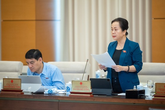 Phó Chủ nhiệm Ủy ban Tài chính, Ngân sách Nguyễn Vân Chi trình bày báo cáo thẩm tra tại phiên họp