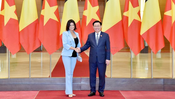 Thúc đẩy quá trình phê chuẩn Hiệp định Bảo hộ đầu tư Việt Nam - EU  ảnh 1
