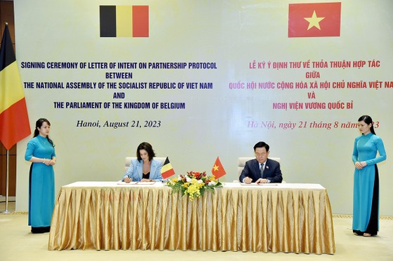 Thúc đẩy quá trình phê chuẩn Hiệp định Bảo hộ đầu tư Việt Nam - EU  ảnh 4