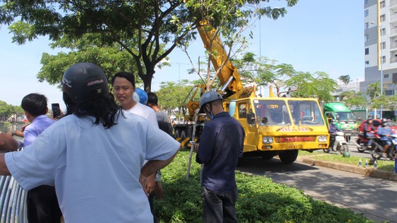 Xe ben lao xuống kênh Tàu Hủ, tài xế thoát chết ảnh 8