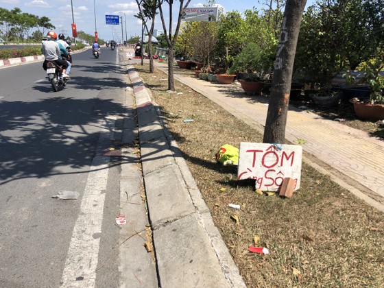 Nam thanh niên tử vong bất thường trên đại lộ Phạm Văn Đồng, TP Thủ Đức ảnh 1
