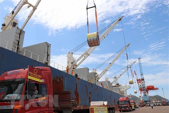 Thanh tra Chính phủ công bố nhiều sai phạm trong việc cổ phần hóa Cảng Quy Nhơn ảnh 1