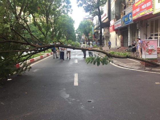 Đi xe máy tông vào cây đổ trên đường, nam thanh niên tử vong tại chỗ ảnh 1