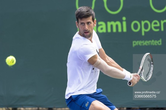 Miami Masters 2018: Tránh nói về Federer, Djokovic tuyên bố: “Tôi không còn đau nữa” ảnh 1