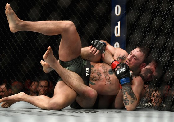 Đấu trường UFC: Khabib không bị tước đai, nhưng McGregor bị cấm thi đấu 1 tháng ảnh 1