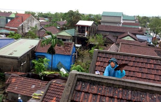 Bão hoành hành kinh hoàng, miền Trung ra sức chống chọi ảnh 33