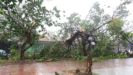 Bão hoành hành kinh hoàng, miền Trung ra sức chống chọi ảnh 18