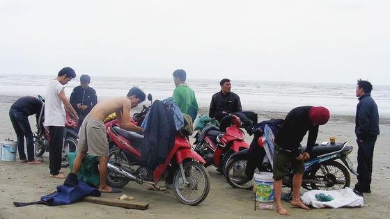 Kỳ thú nghề săn rum biển ảnh 1