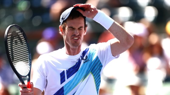 Andy Murray thất vọng khi bị loại