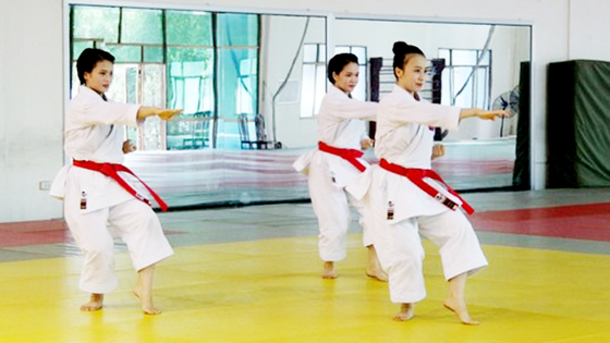 Hình ảnh Phim Hoạt Hình Karate PNG Miễn Phí Tải Về Lovepik