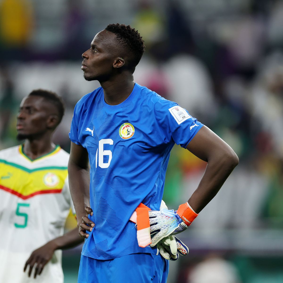 Tuyển Senegal gục ngã vì CĐV... 'xếp hàng sai' ảnh 2