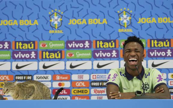 Chú mèo dễ thương 'ghé thăm' đội tuyển Brazil ảnh 2