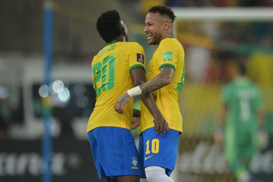 Chú mèo dễ thương 'ghé thăm' đội tuyển Brazil ảnh 4