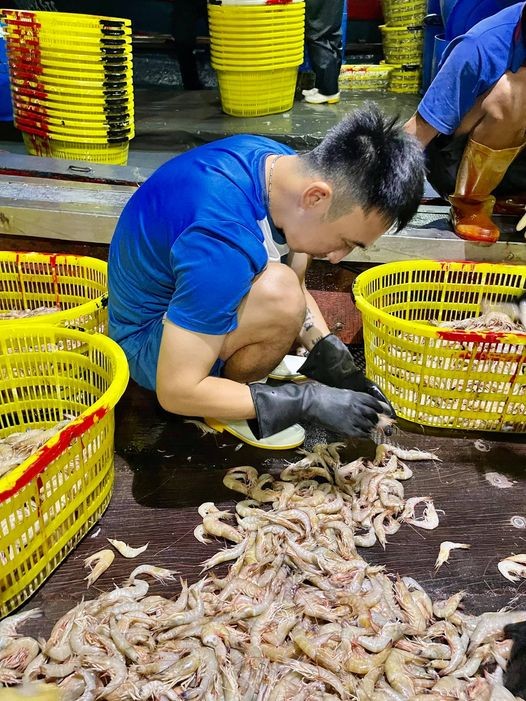 CLB Than Quảng Ninh tạm dừng hoạt động ảnh 1