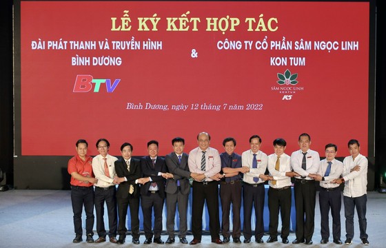 Giải Marathon Quốc tế Thành phố mới Bình Dương ảnh 1