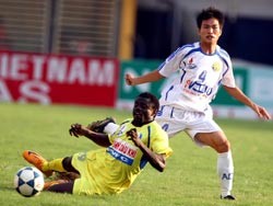 Tổng kết V-League 2008: Có liều thuốc đắng? ảnh 2