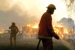 Australia: Huy động tổng lực ngăn chặn thảm họa cháy rừng