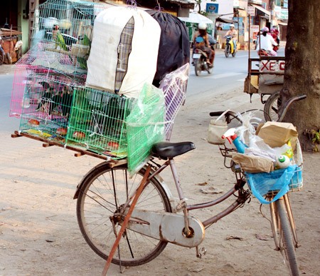 Chợ di động ảnh 3