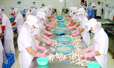 Nghêu chết tràn lan ở ĐBSCL, “tiền tỷ” trôi theo bọt biển! ảnh 1