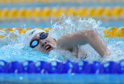Bơi Việt Nam chuẩn bị cho SEA Games 26 - Đường đua không êm đềm