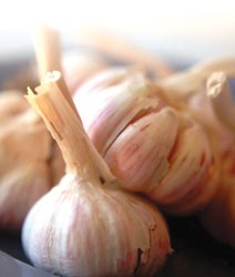 Những lợi ích bí ẩn của tỏi ảnh 1