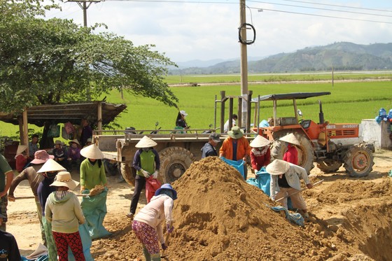 Vỡ đê, hàng trăm người dân trầm mình cứu lúa ảnh 4
