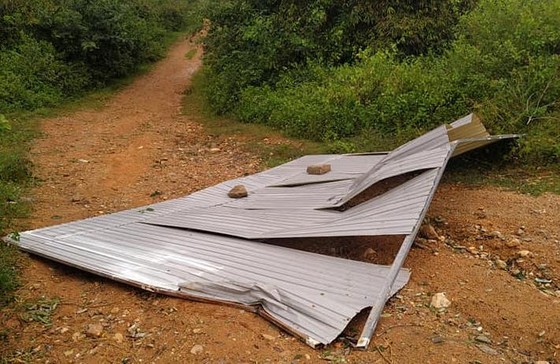 Đắk Lắk: Gió lớn, một người bị tôn bay trúng tử vong ảnh 2