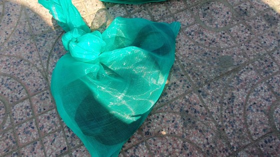 Phát hiện xe khách vận chuyển 2 cá thể rắn hổ chúa ảnh 2 Phát hiện xe khách vận chuyển 2 cá thể rắn hổ chúa ảnh 2