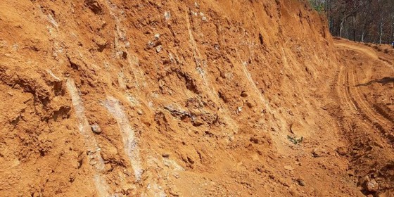 Gỗ bị chặt hạ, cất giấu trên “cổng trời” Đắk Long ảnh 4