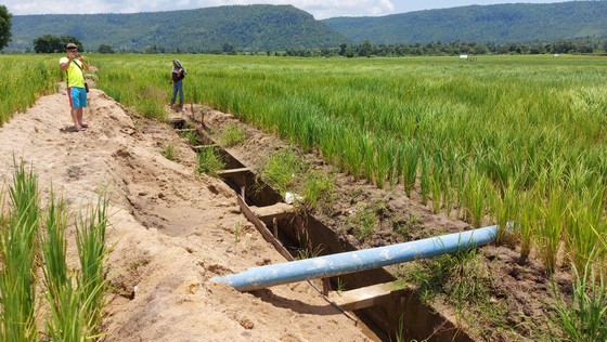 Thủy lợi hơn trăm tỷ tan nát: Cần thêm 60 tỷ đồng để đưa nước vào ruộng ảnh 3