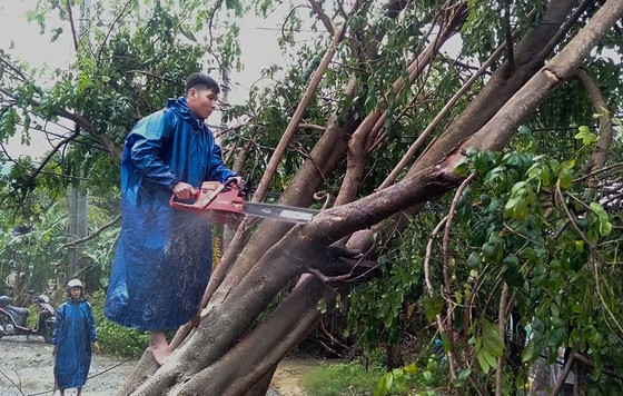 Quảng Bình mưa trắng trời, Huế cây cối ngã đổ ảnh 23