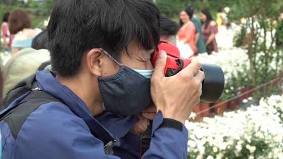 Đà Nẵng: Người dân hào hứng với vườn cúc họa mi trái mùa ảnh 4 Đà Nẵng: Người dân hào hứng với vườn cúc họa mi trái mùa ảnh 4