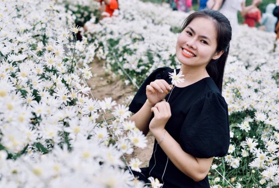 Đà Nẵng: Người dân hào hứng với vườn cúc họa mi trái mùa ảnh 5 Đà Nẵng: Người dân hào hứng với vườn cúc họa mi trái mùa ảnh 5