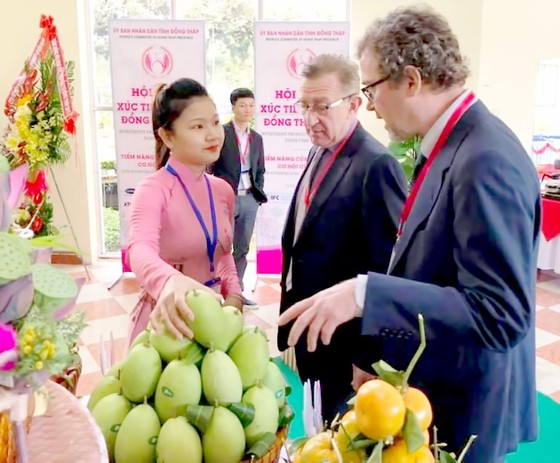 Ấn tượng đất sen hồng ảnh 1
