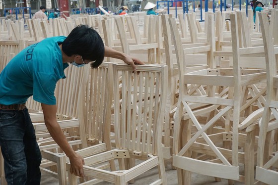 Việt Nam không kinh doanh gỗ bất hợp pháp ảnh 1