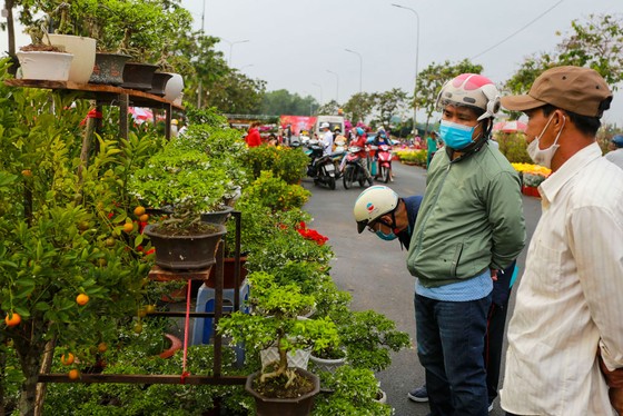 Chợ hoa Xuân Bình Điền 2021: Trăm hoa đua sắc! ảnh 2 Chợ hoa Xuân Bình Điền 2021: Trăm hoa đua sắc! ảnh 2