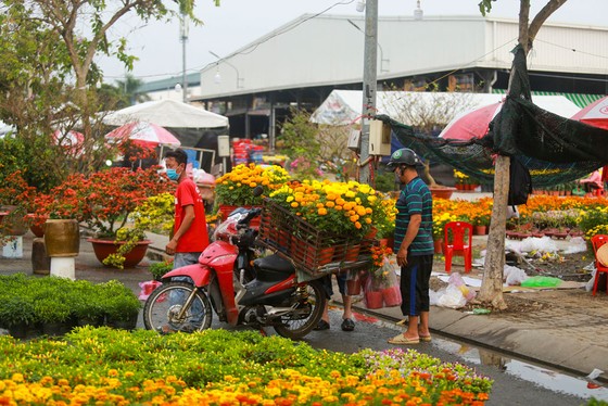 Chợ hoa Xuân Bình Điền 2021: Trăm hoa đua sắc! ảnh 1 Chợ hoa Xuân Bình Điền 2021: Trăm hoa đua sắc! ảnh 1