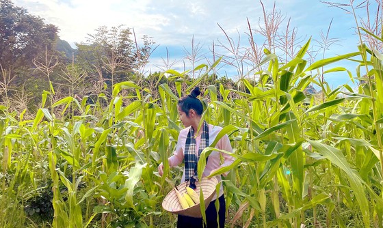 Hành trình nông sản Việt của hai cô gái trẻ ảnh 3