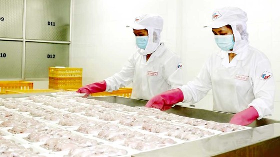 Tận dụng hiệp định thương mại tự do để tăng xuất khẩu ảnh 1