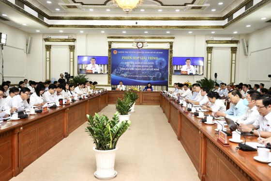 Cần có giải pháp quyết liệt trong quản lý hoạt động quảng cáo trên địa bàn TPHCM ảnh 1
