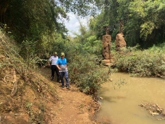 Phản hồi bài viết Băn khoăn vị trí dự kiến xây cầu Mã Đà: Phải bảo vệ nghiêm ngặt hệ sinh thái rừng ảnh 4